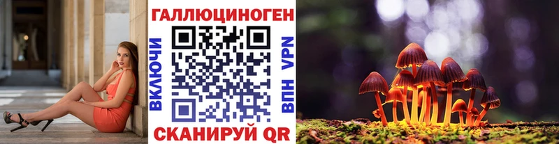 Псилоцибиновые грибы Psilocybine cubensis  Вилючинск 